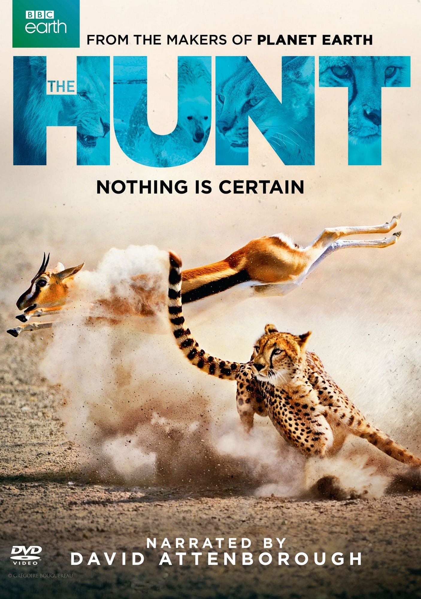 The Hunt