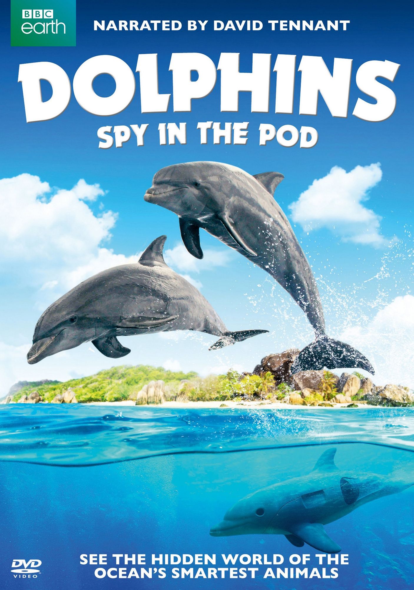 Dolphins: Spy in the Pod