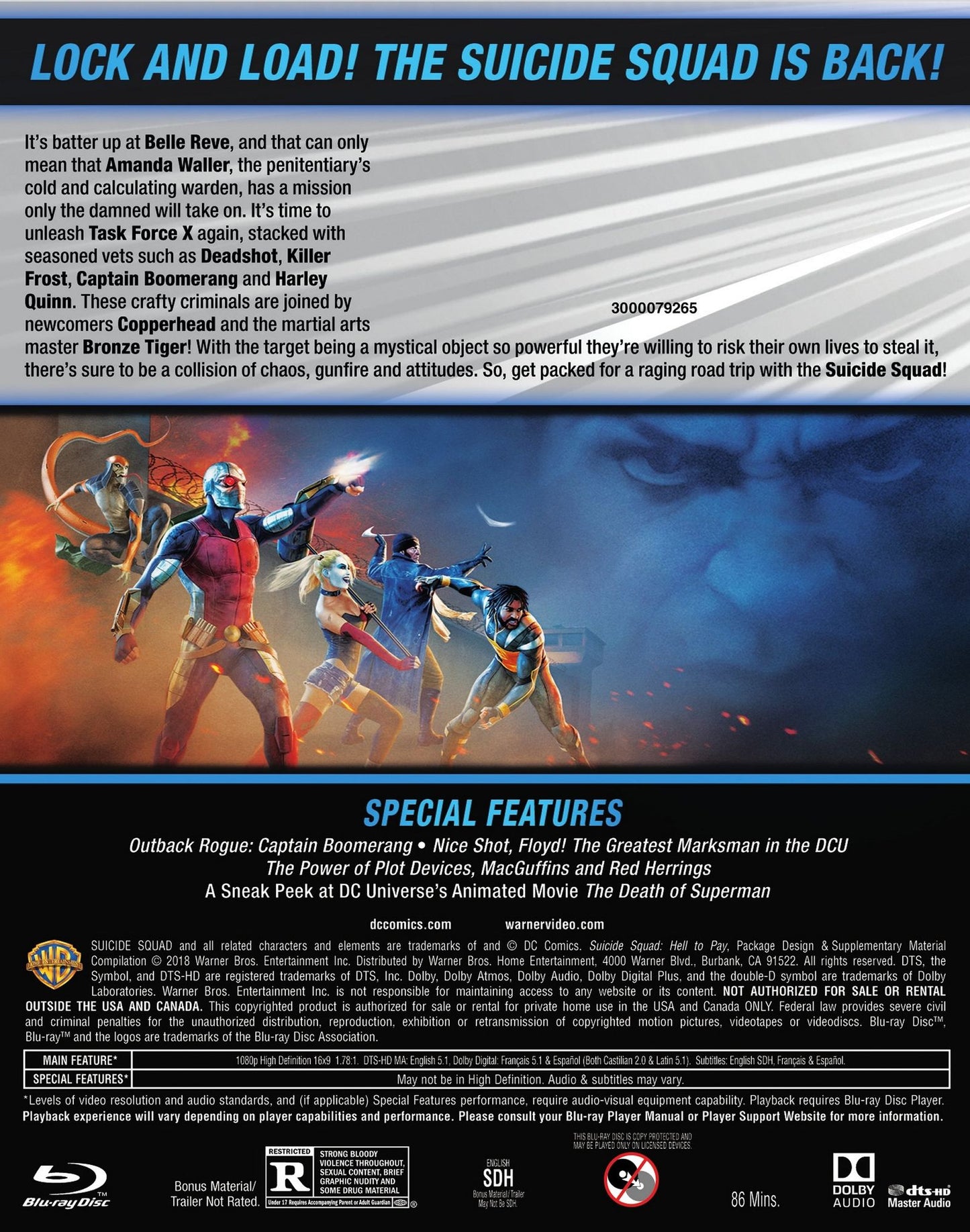 Suicide Squad: Hell to Pay [Blu-ray]