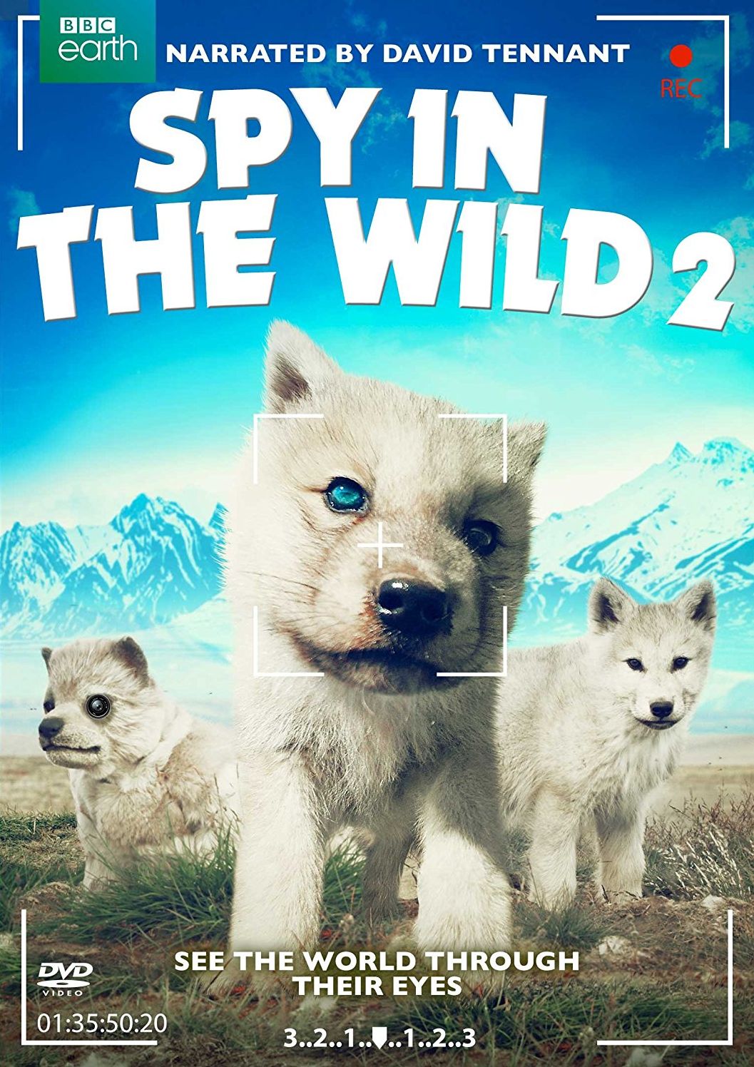 Spy In The Wild: Part 2