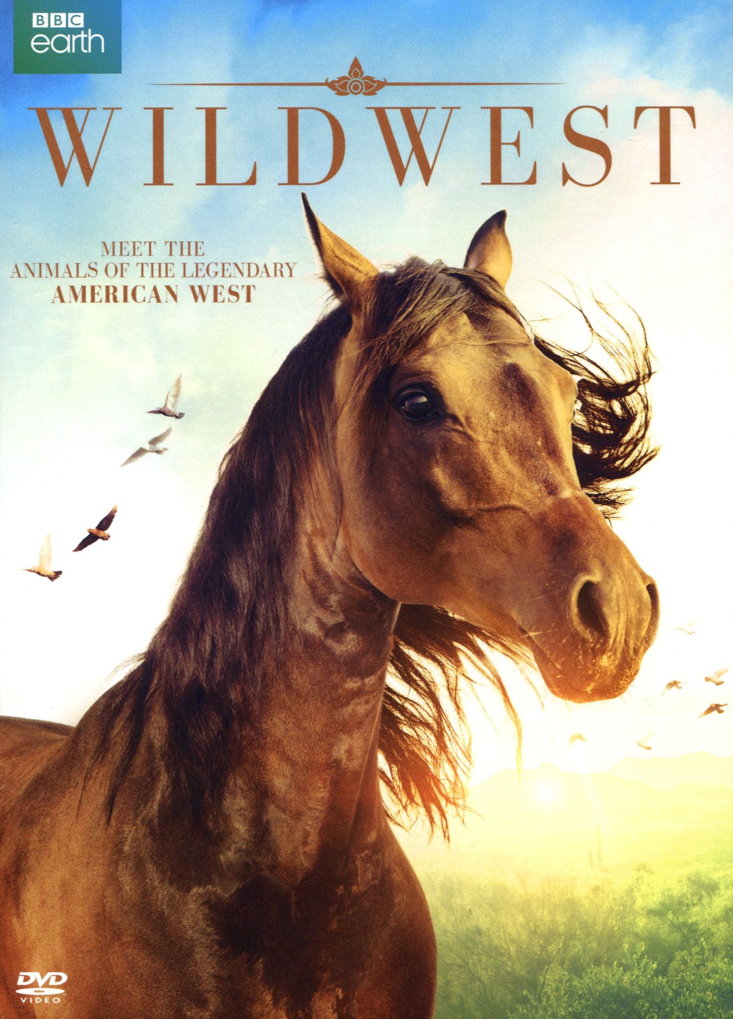 Bbc Earth: Wild West