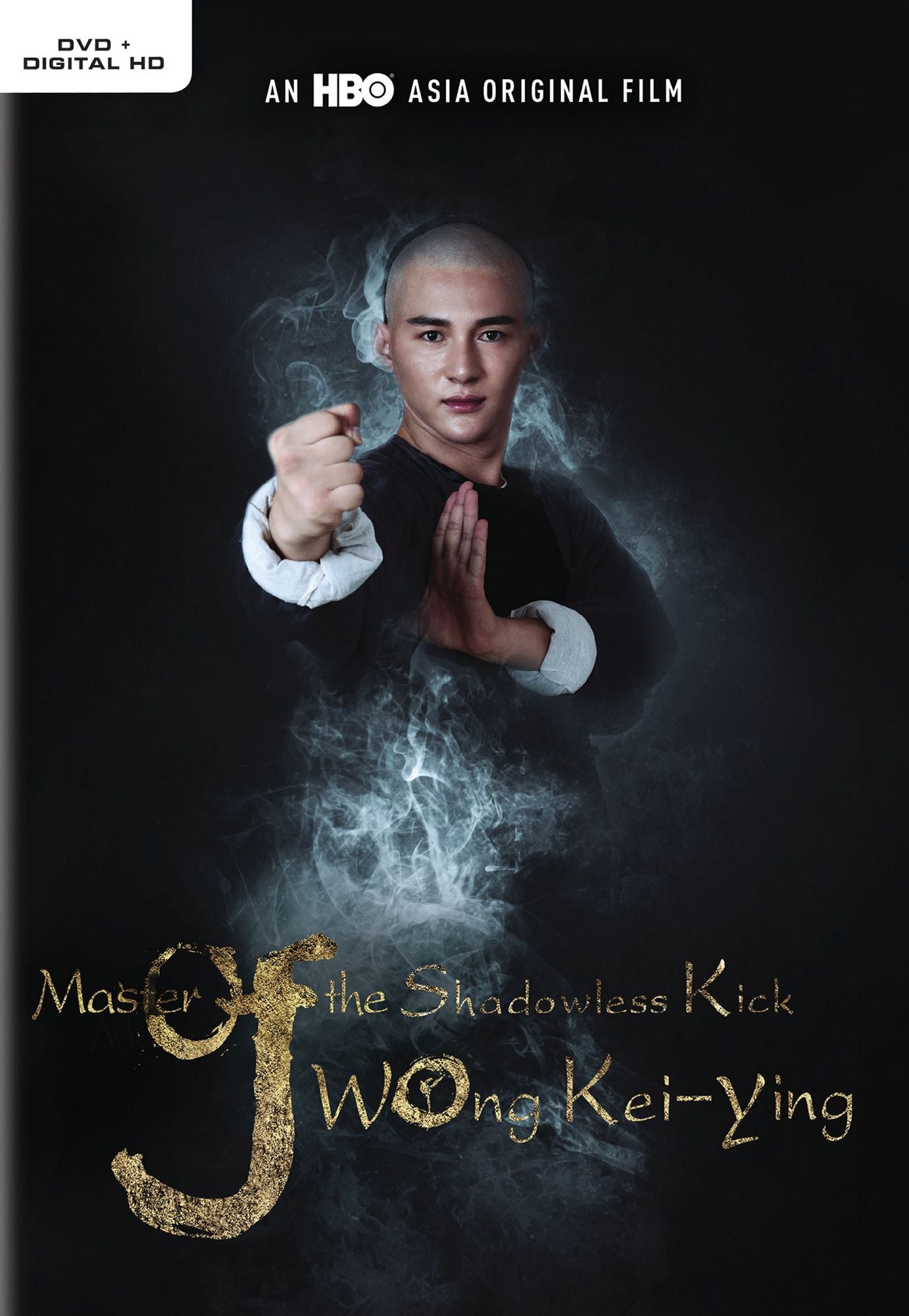 Master Of The Shadowless Kick: Wong Kei-ying