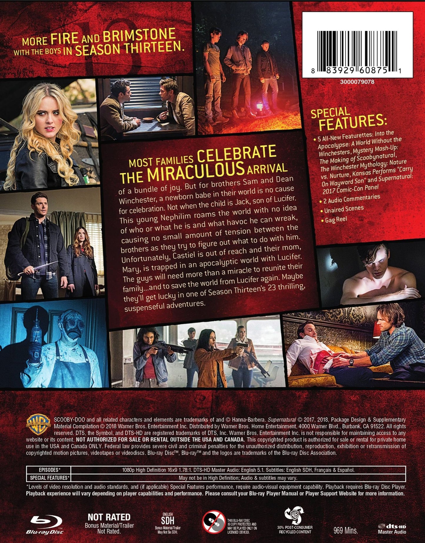 Supernatural: The Complete Thirteenth Season [Blu-ray]