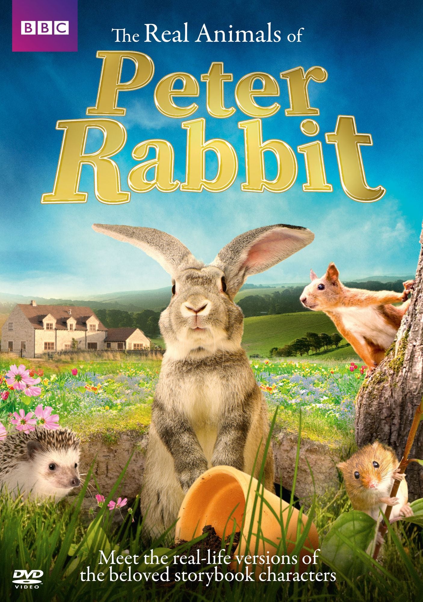 The Real Animals Of Peter Rabbit