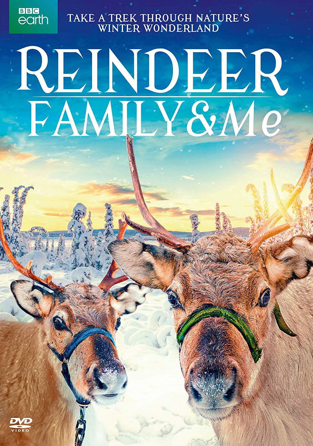 Reindeer Family & Me