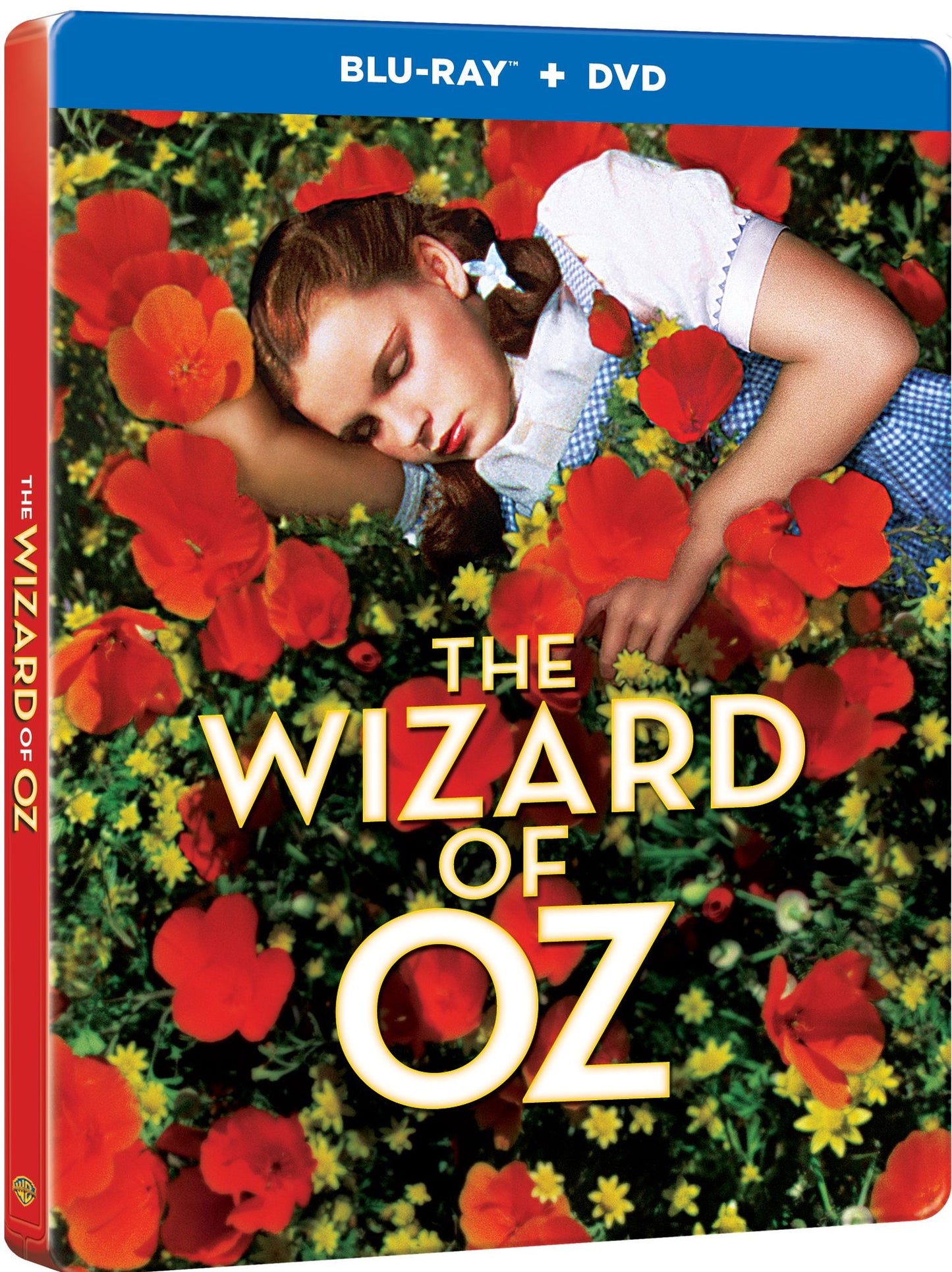 The Wizard of Oz [SteelBook] [Blu-ray/DVD] [2 Discs]