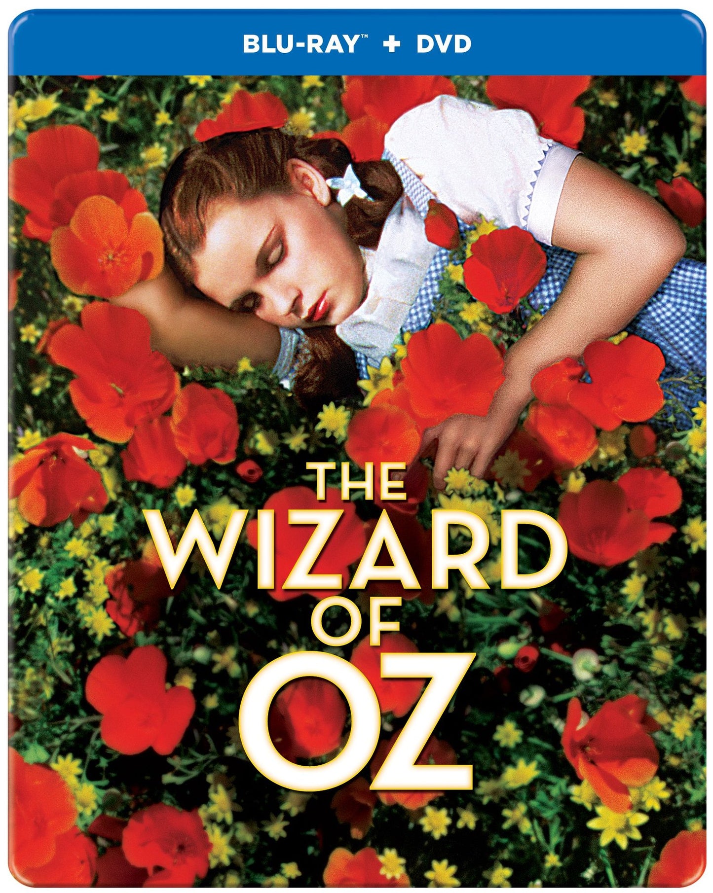 The Wizard of Oz [SteelBook] [Blu-ray/DVD] [2 Discs]