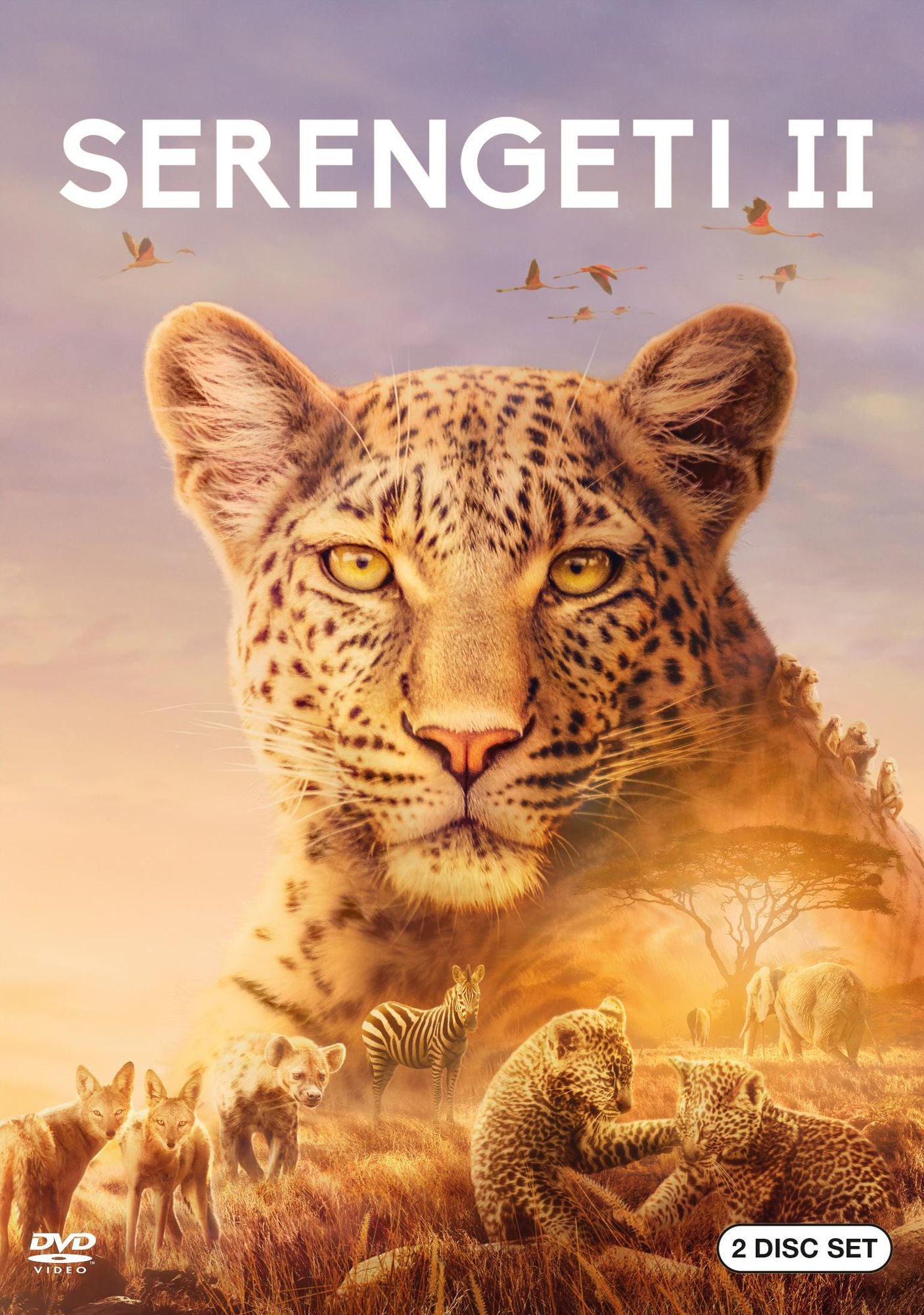 Serengeti Ii (2Pc) / (2Pk)