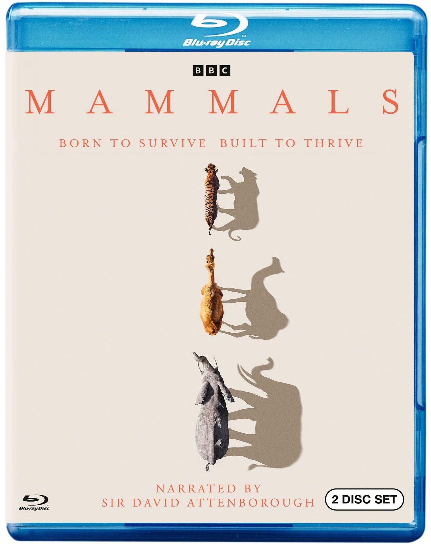 Mammals