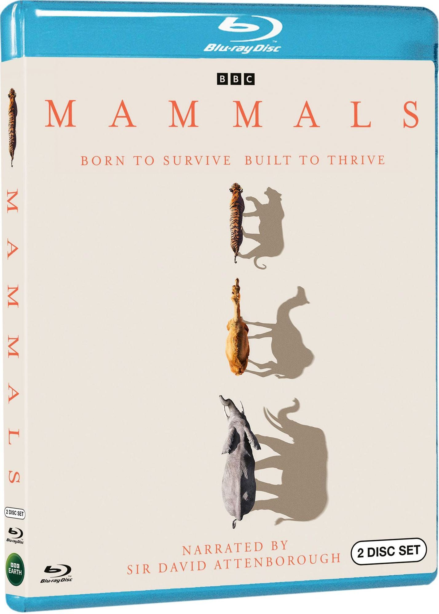 Mammals