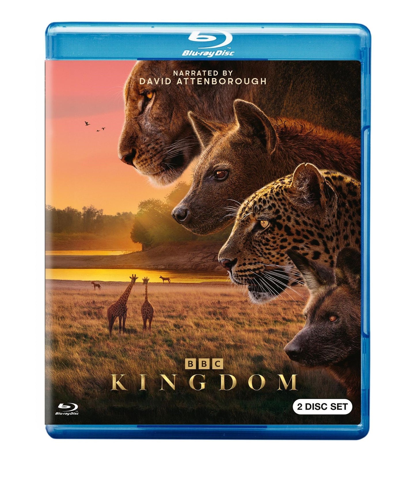 Kingdom