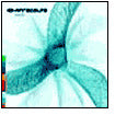 Seed