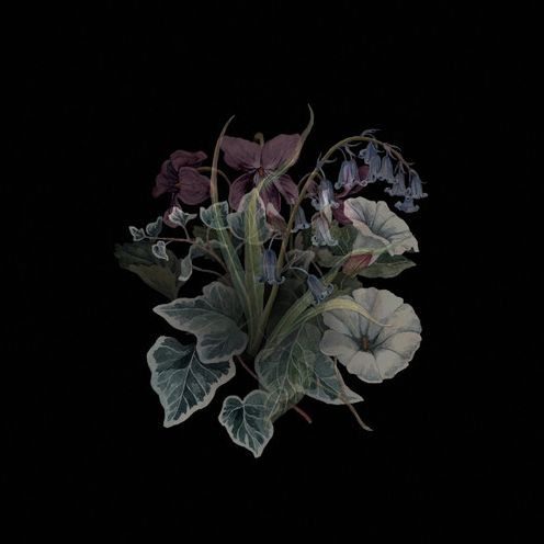 Wildflowers (Nhor)