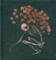 Folk Aesthetic 1996-2000
