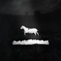Predateurs [Black Vinyl] [180 Gram Vinyl]