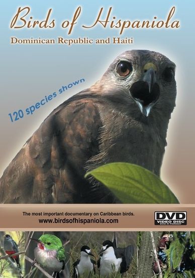 Birds Of Hispaniola