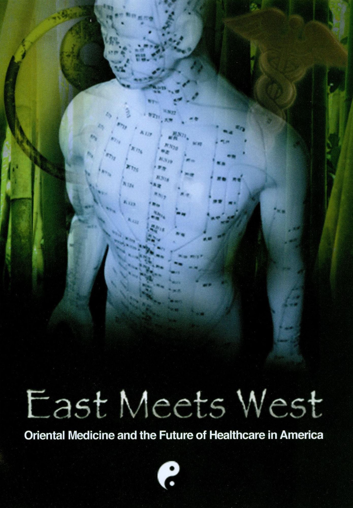 East Meets West: Oriental Medicine and the Future of Healthcare in America