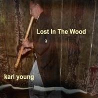 Lost in the Wood