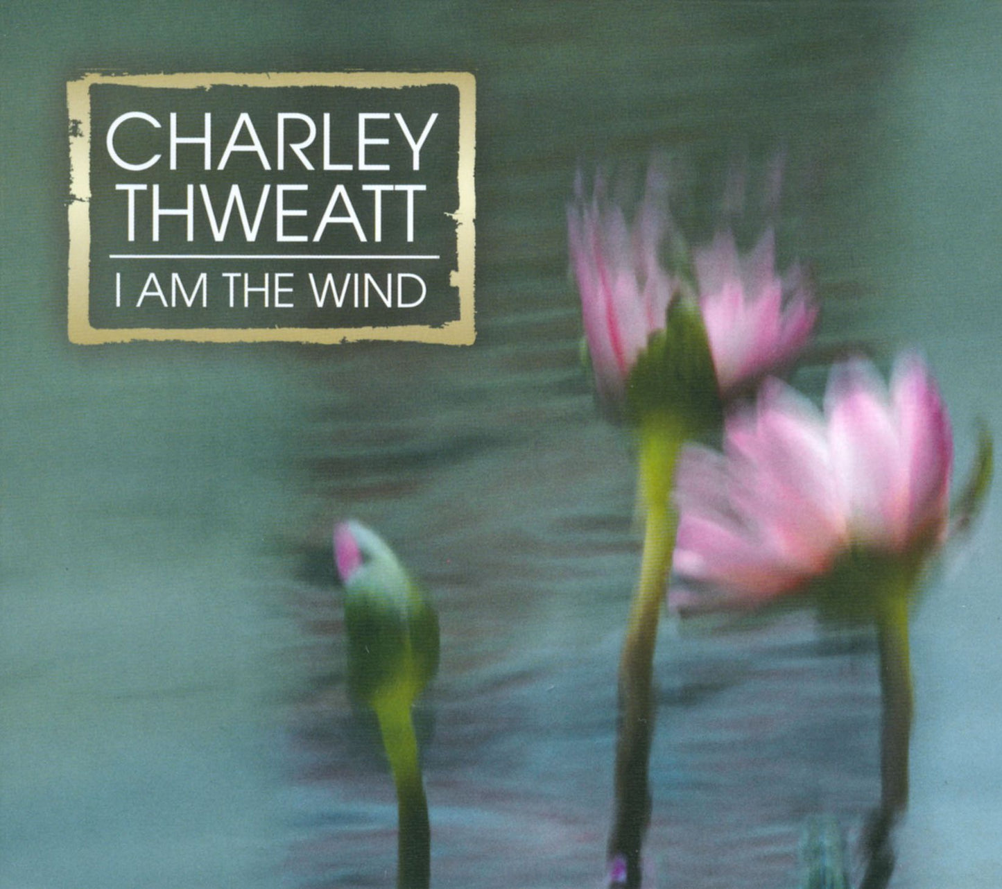 I Am the Wind