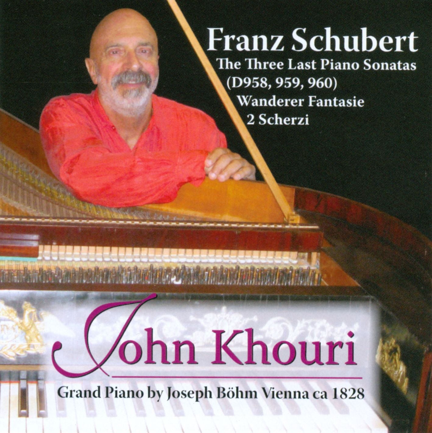 Schubert: The Three Last Piano Sonatas