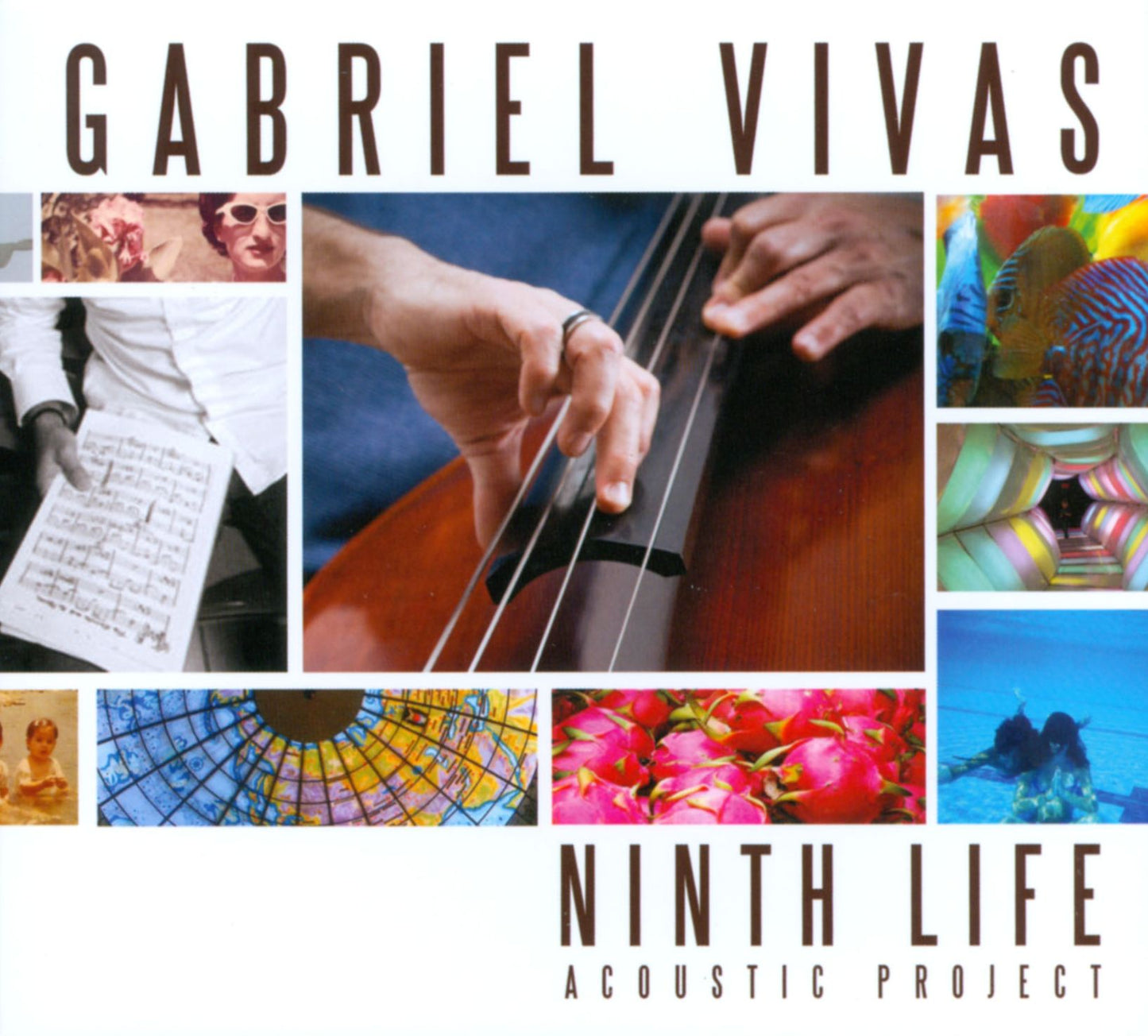 Ninth Life Acoustic Project