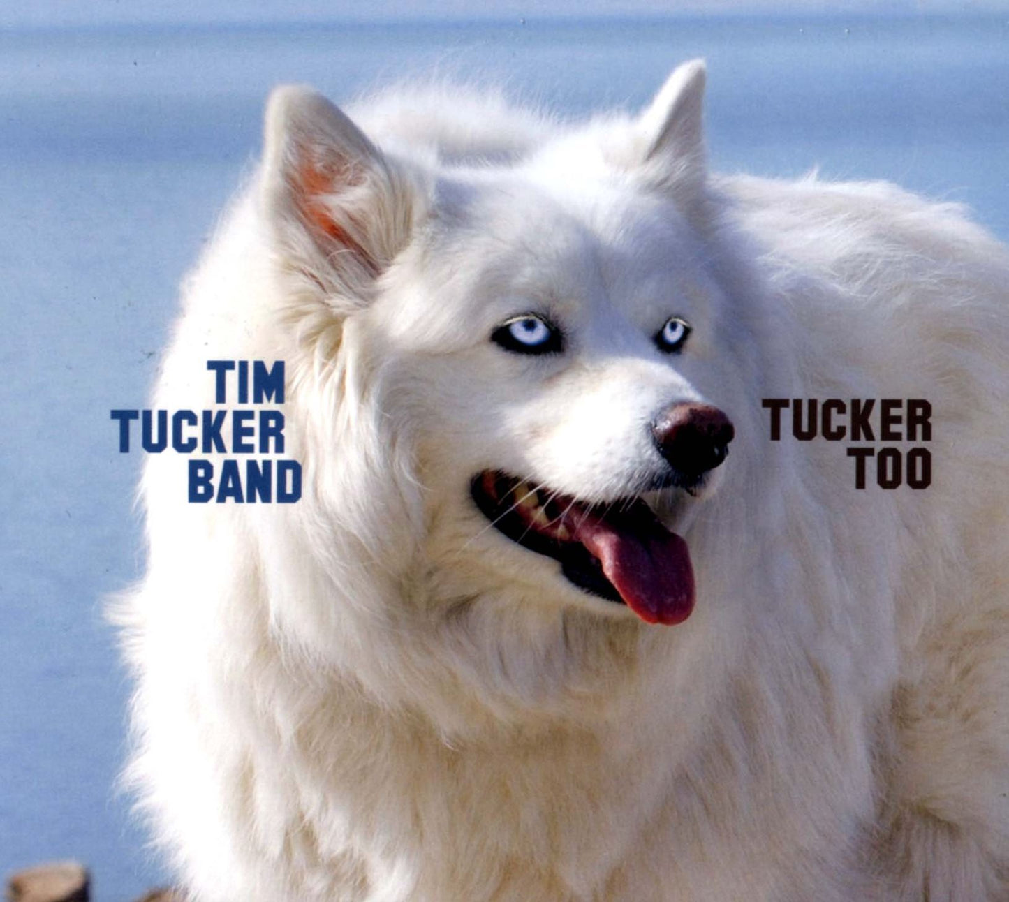 Tucker Too