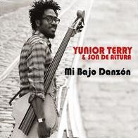 Mi Bajo Danzon