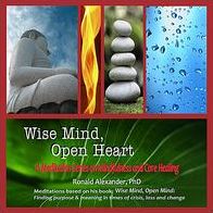 Wise Mind Open Heart