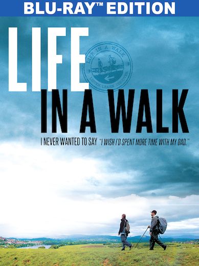 Life In A Walk