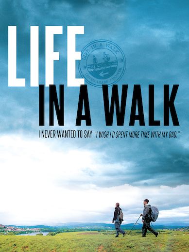 Life In A Walk