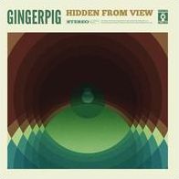 Hidden From View