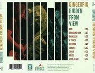 Hidden From View