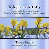 Xylophone Artistry