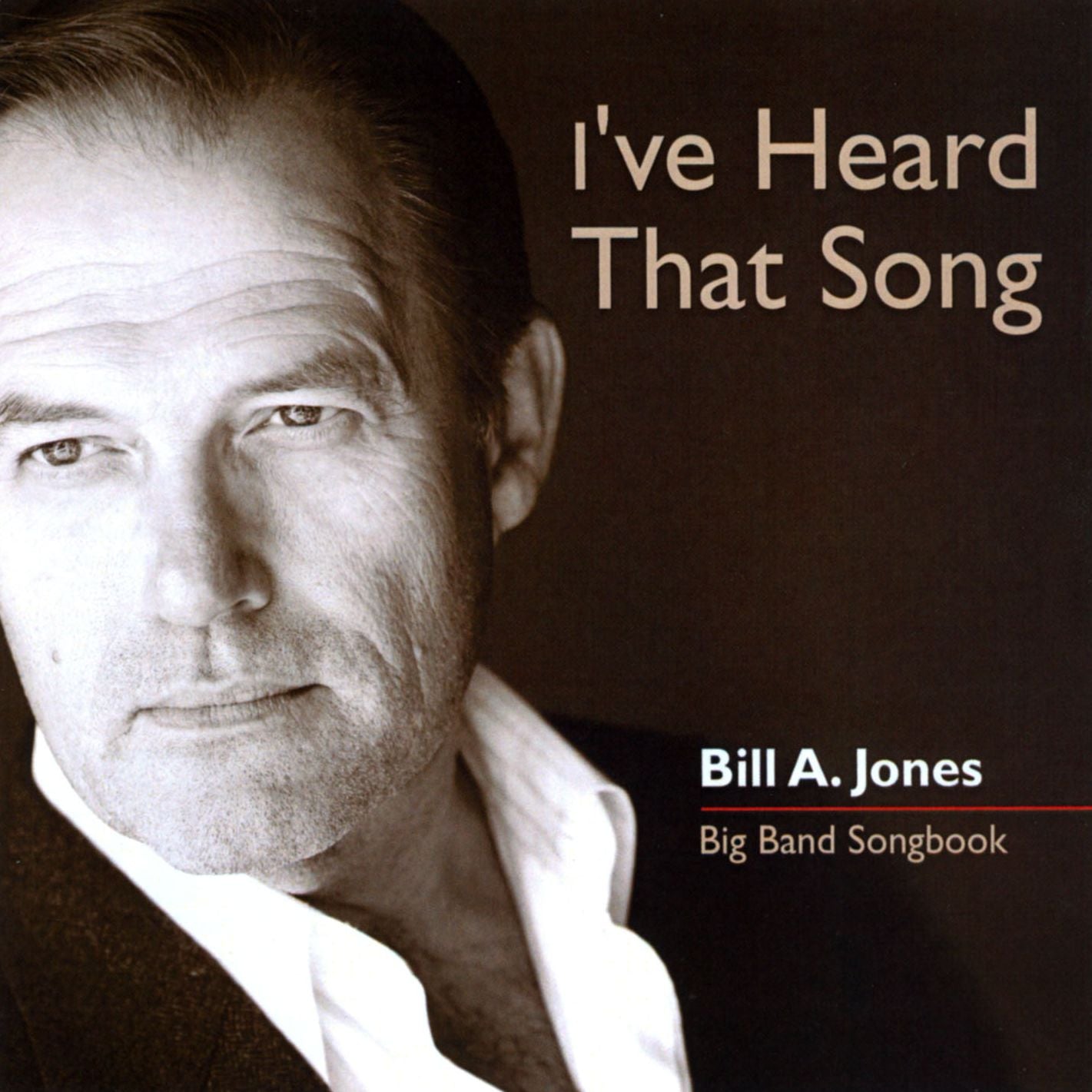 I've Heard That Song: Big Band Songbook