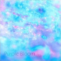 Purple Bloom