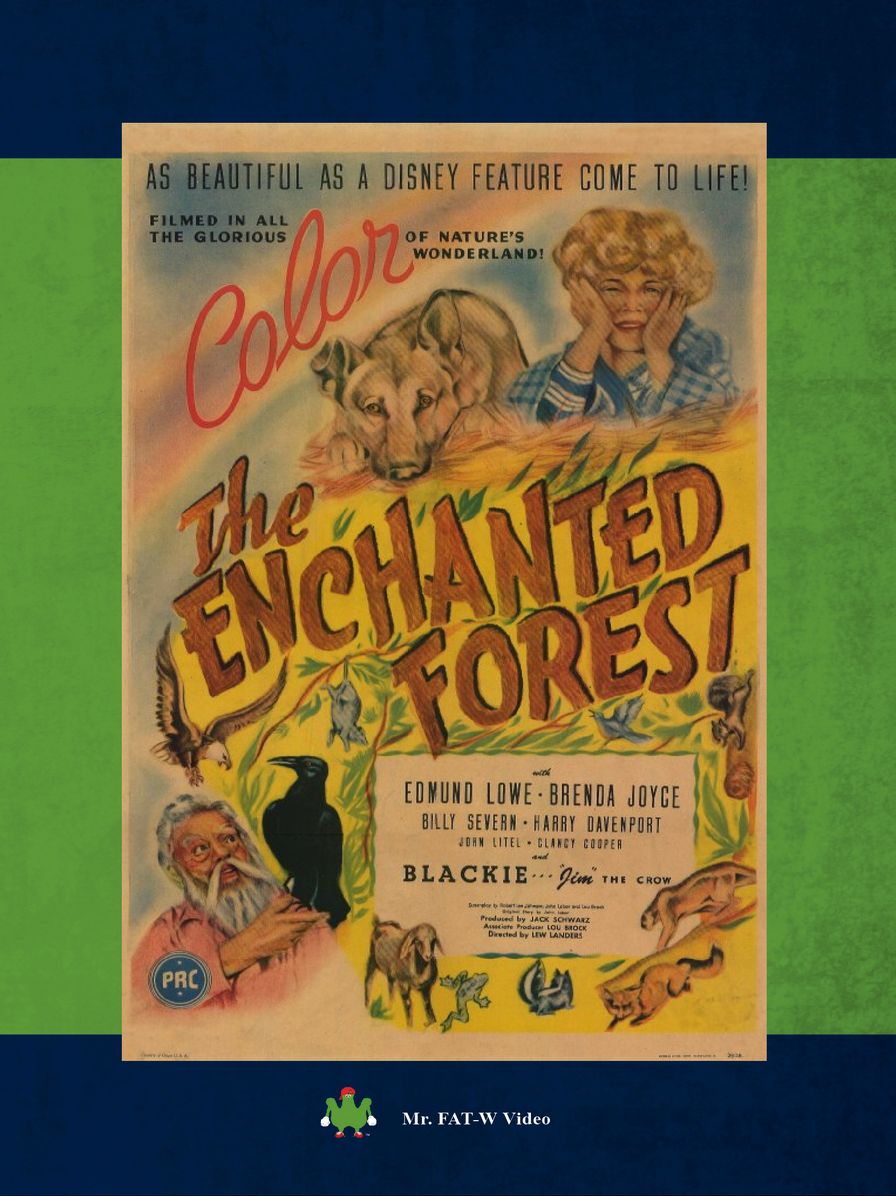 The Enchanted Forest