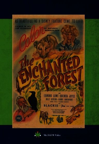 The Enchanted Forest