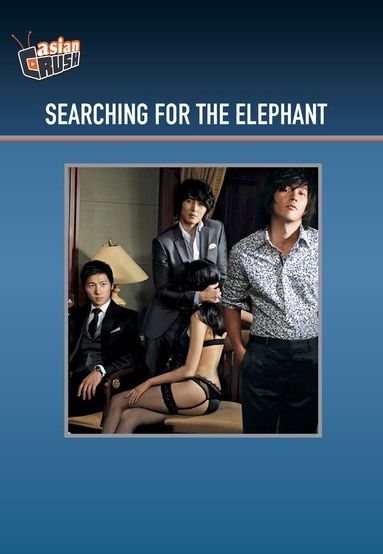 Searching for the Elephant