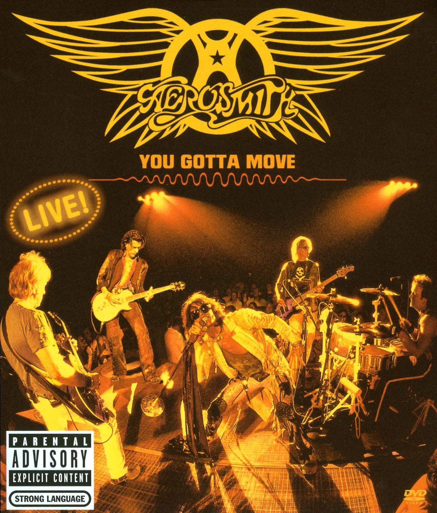 Aerosmith: You Gotta Move