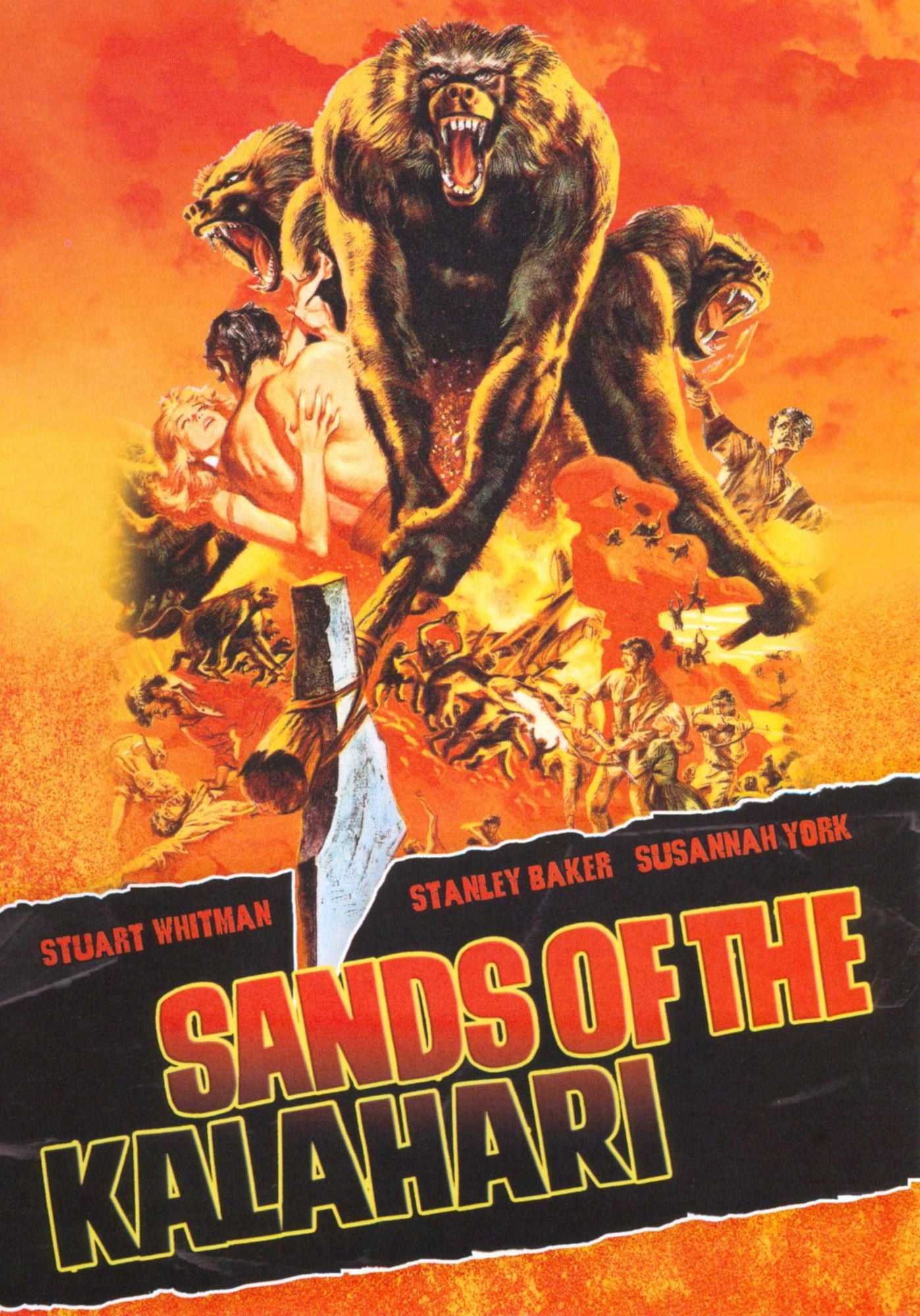 Sands of the Kalahari
