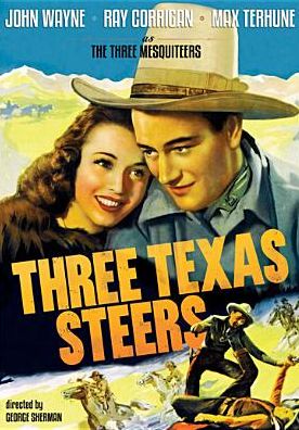 Three Texas Steers