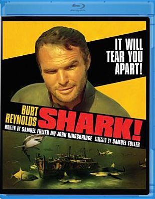 Shark!