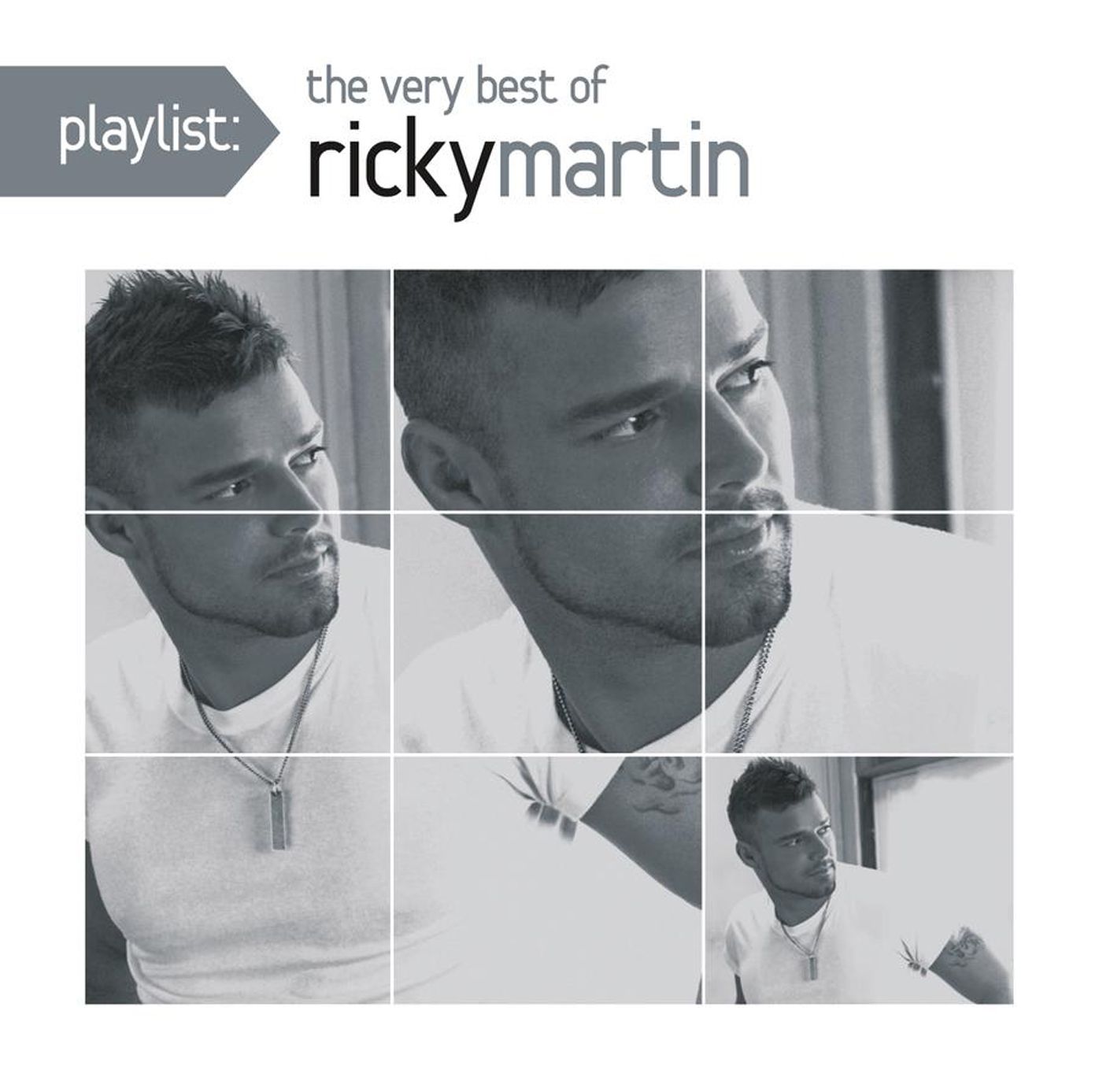 Playlist: The Very Best of Ricky Martin