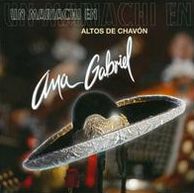 Un Mariachi en Altos de Chav?n