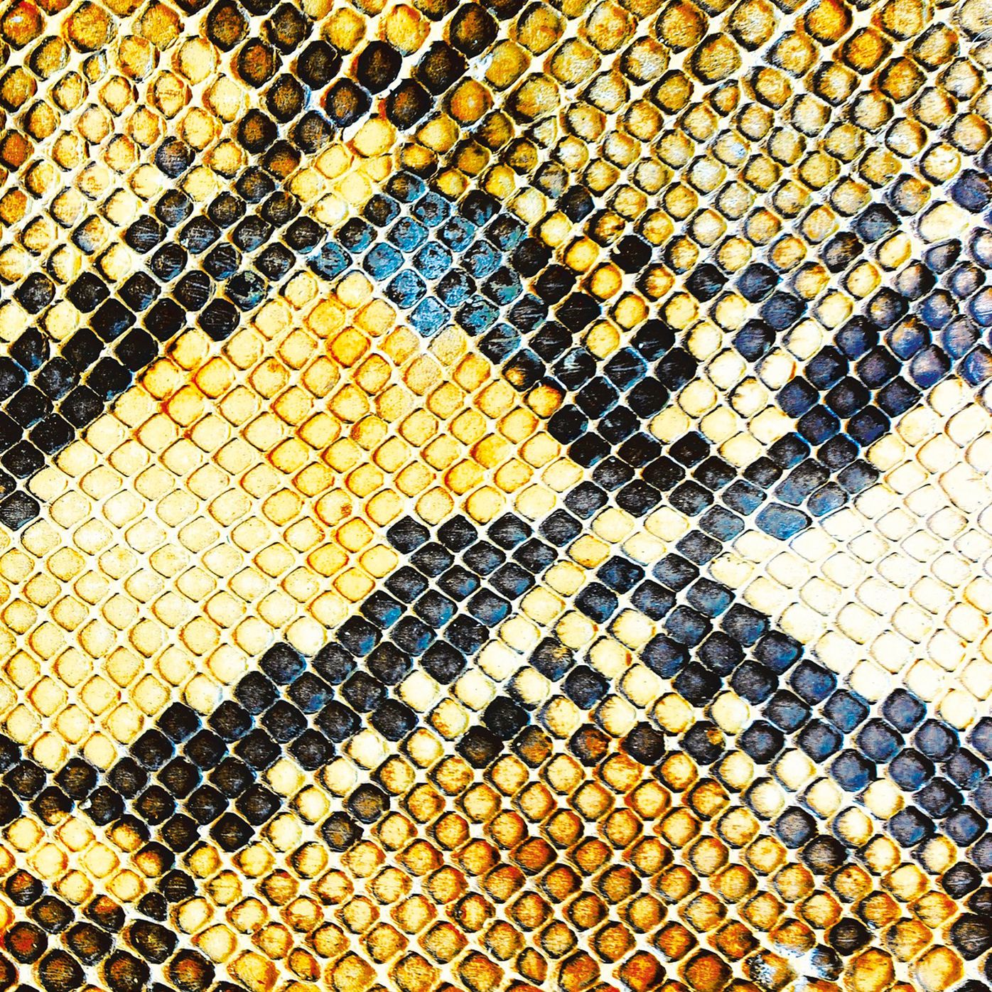 Amphetamine Ballads [Lp]