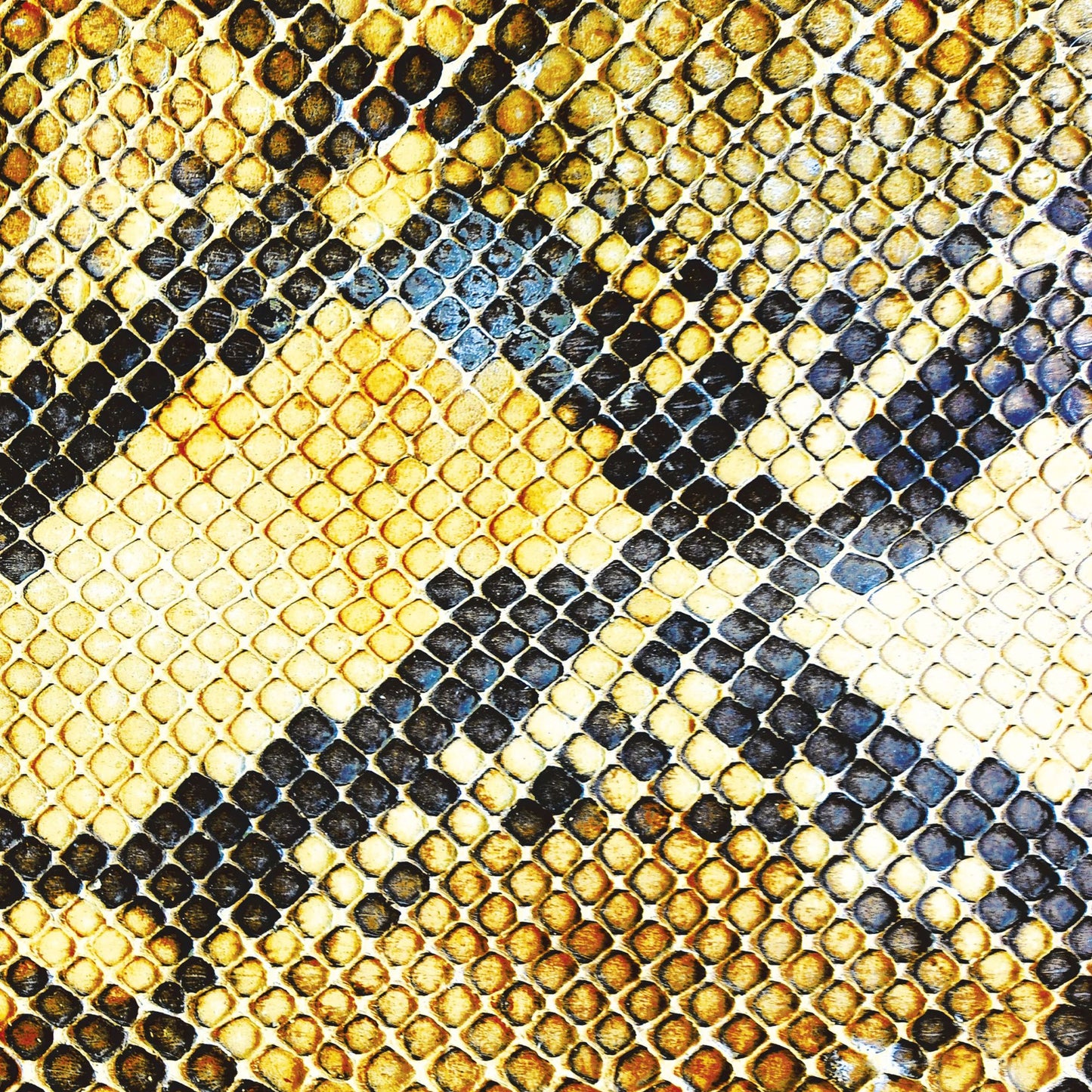 Amphetamine Ballads [Lp]