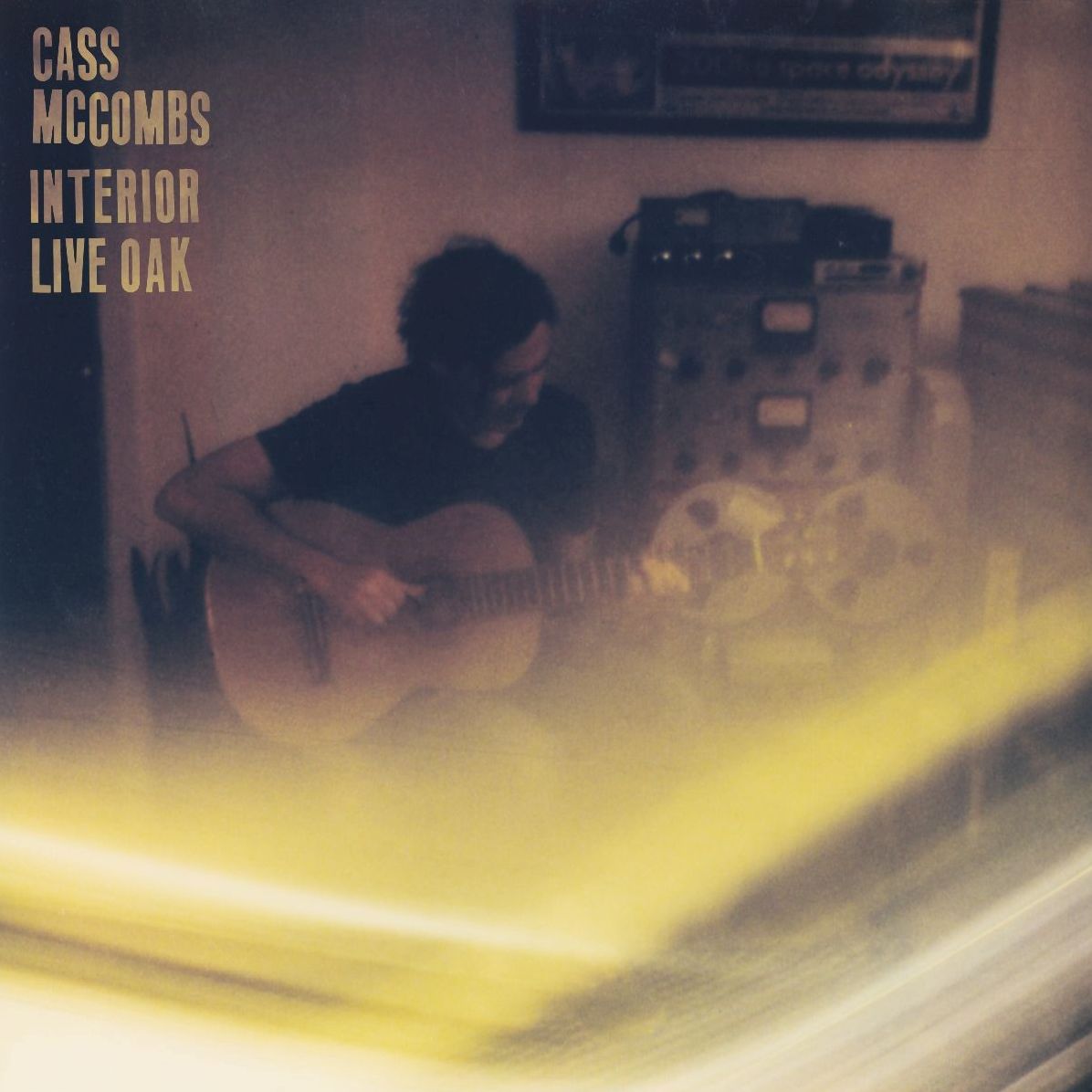 Interior Live Oak (Cass Mccombs)