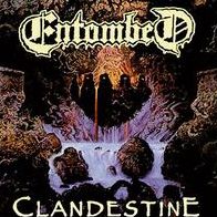 Clandestine