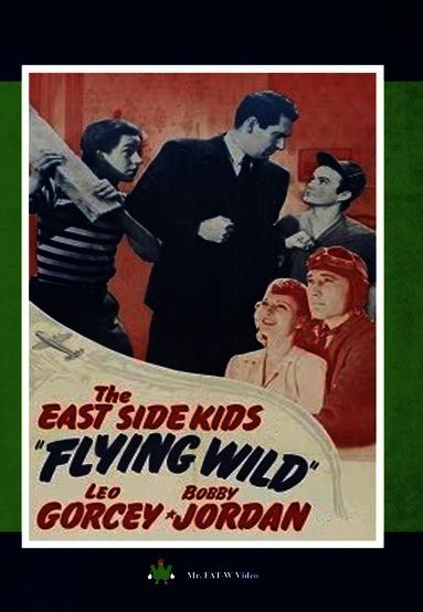 Flying Wild