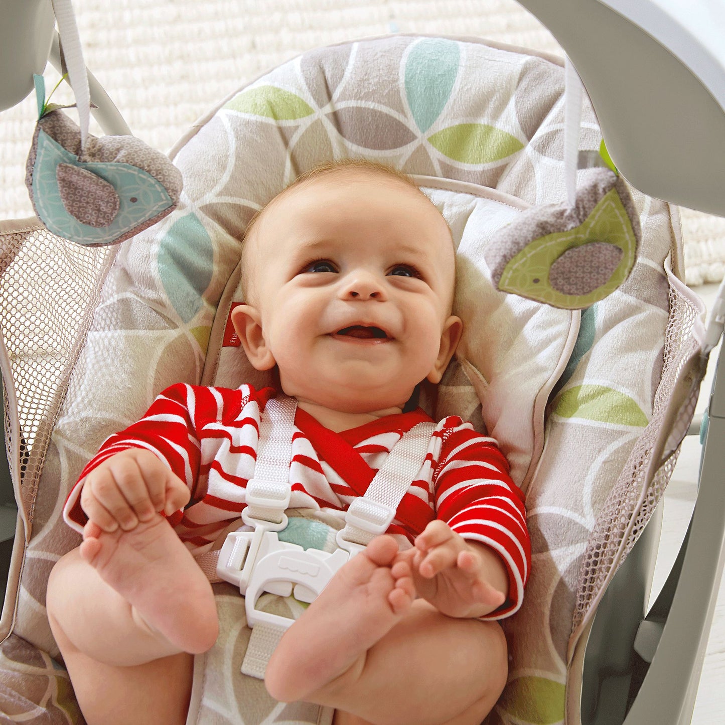 Fisher-Price Deluxe Take Along Swing and Seat